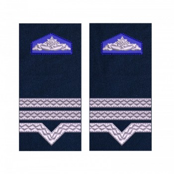 GRADE MAISTRU MILITAR CLASA 3 SRI